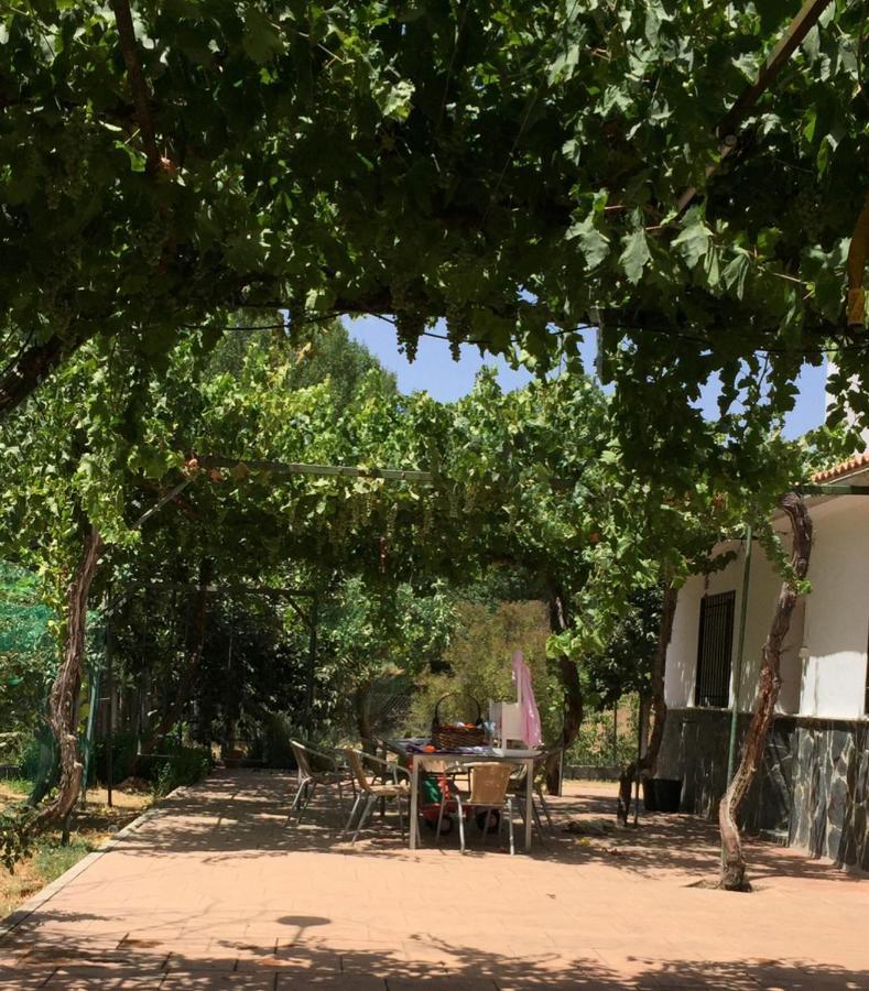 アルアマ・デ・グラナダ Casa De Inesヴィラ エクステリア 写真